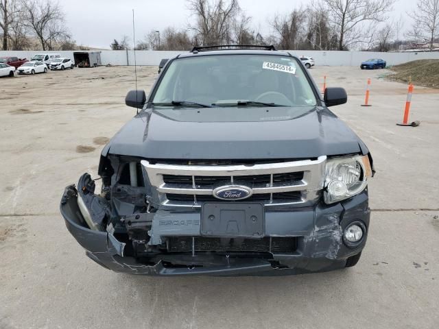 2008 Ford Escape XLT