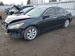 Honda Accord EXL Vehiculos salvage en venta: 2009 Honda Accord EXL