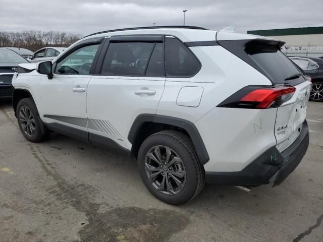 2023 Toyota Rav4 XLE Premium