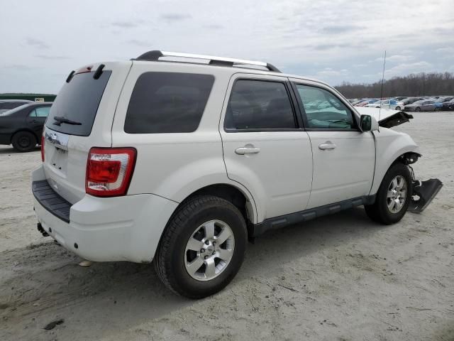 2011 Ford Escape Limited