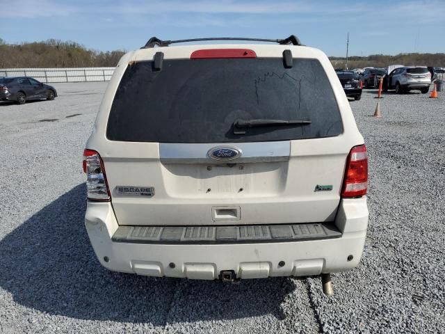 2010 Ford Escape Limited