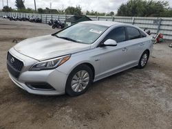 Salvage cars for sale at Miami, FL auction: 2016 Hyundai Sonata Hybrid