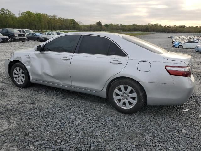 2009 Toyota Camry Hybrid