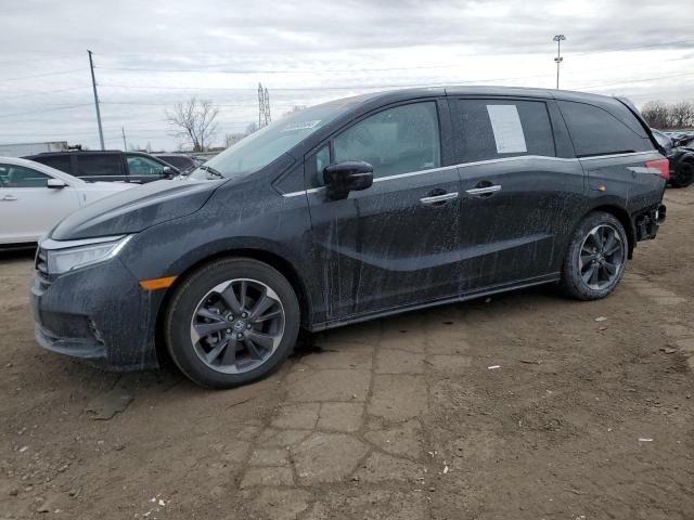 2023 Honda Odyssey Elite