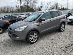 Salvage cars for sale at Bridgeton, MO auction: 2014 Ford Escape Titanium