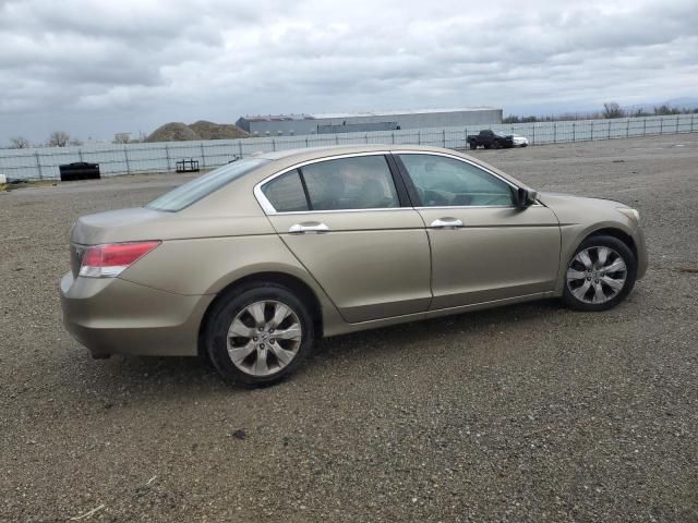 2008 Honda Accord EXL