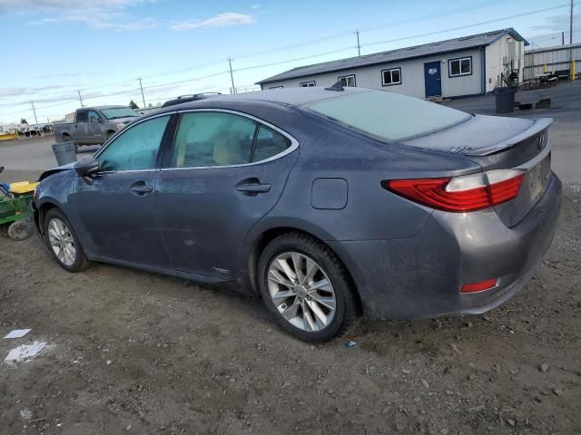 2013 Lexus ES 300H