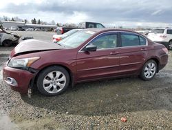 Salvage cars for sale at Antelope, CA auction: 2009 Honda Accord EXL
