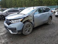 Honda salvage cars for sale: 2020 Honda CR-V EXL