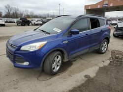 Salvage cars for sale at Fort Wayne, IN auction: 2015 Ford Escape SE