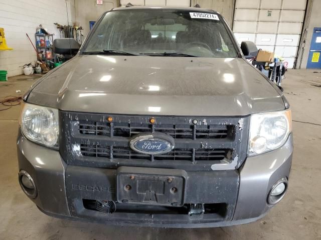 2009 Ford Escape XLT