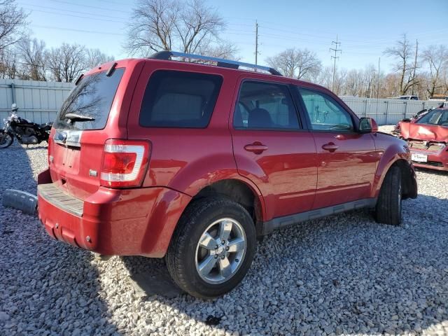 2011 Ford Escape Limited