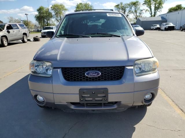 2007 Ford Escape XLT