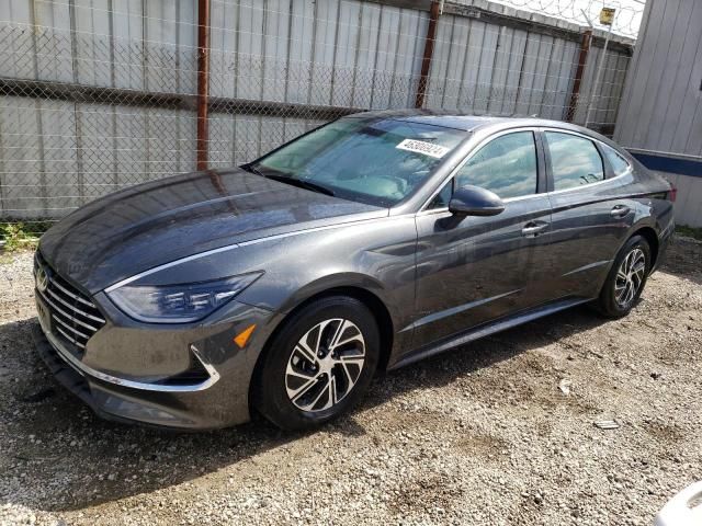 2023 Hyundai Sonata Hybrid