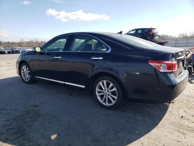 2011 Lexus ES 350