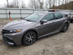 Salvage cars for sale at Hurricane, WV auction: 2024 Toyota Camry SE Night Shade