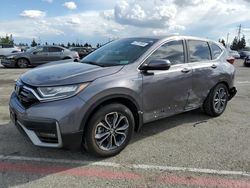 Salvage cars for sale from Copart Rancho Cucamonga, CA: 2022 Honda CR-V EXL