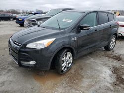 Salvage cars for sale from Copart Cahokia Heights, IL: 2013 Ford Escape SEL