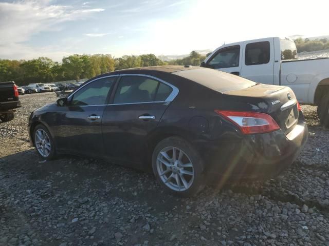 2010 Nissan Maxima S