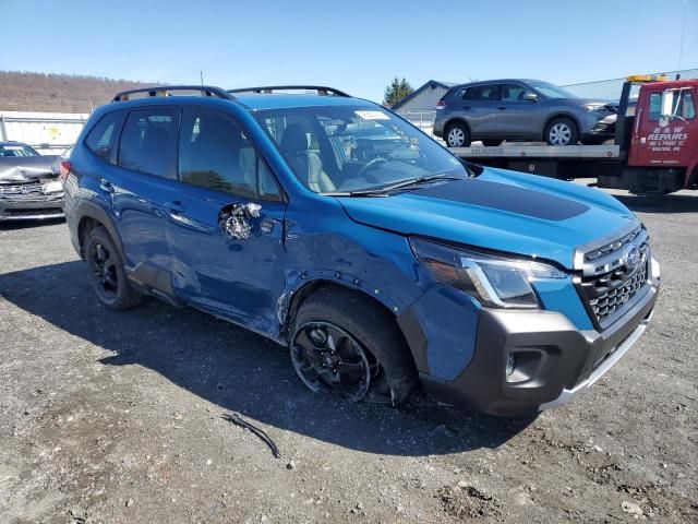 2023 Subaru Forester Wilderness