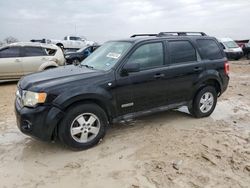 Salvage cars for sale from Copart Haslet, TX: 2008 Ford Escape XLT