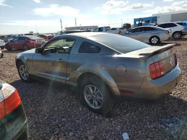 2005 Ford Mustang