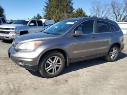 Salvage cars for sale from Copart Finksburg, MD: 2010 Honda CR-V EXL