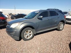 Salvage cars for sale from Copart Phoenix, AZ: 2013 Chevrolet Equinox LT