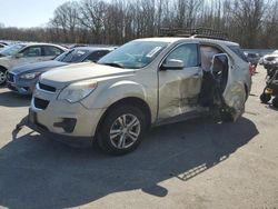 Salvage cars for sale at Glassboro, NJ auction: 2010 Chevrolet Equinox LT