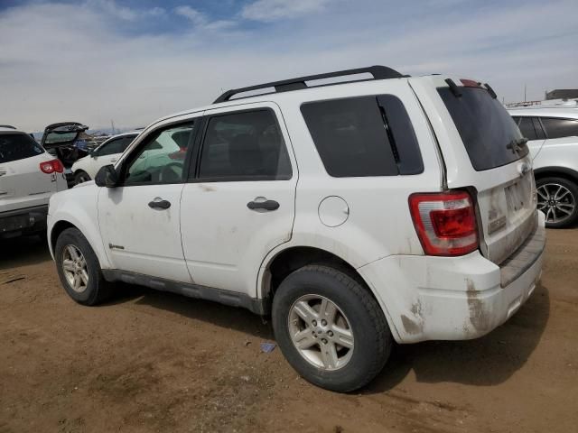 2009 Ford Escape Hybrid