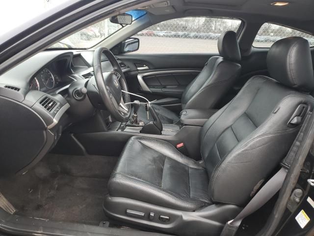 2008 Honda Accord EXL