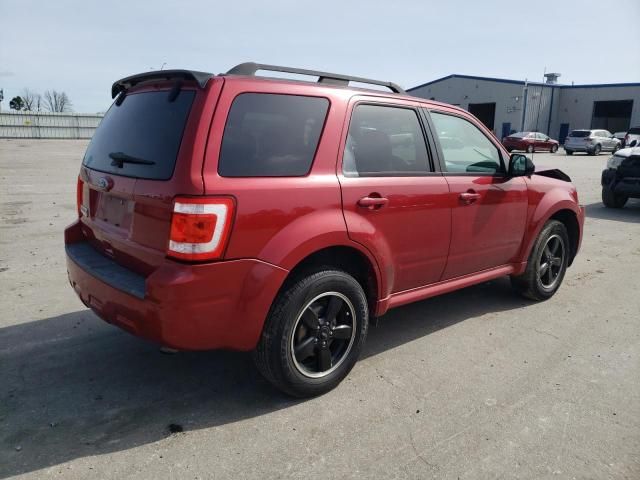 2010 Ford Escape XLT