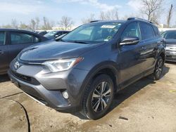 Salvage cars for sale at Bridgeton, MO auction: 2016 Toyota Rav4 XLE