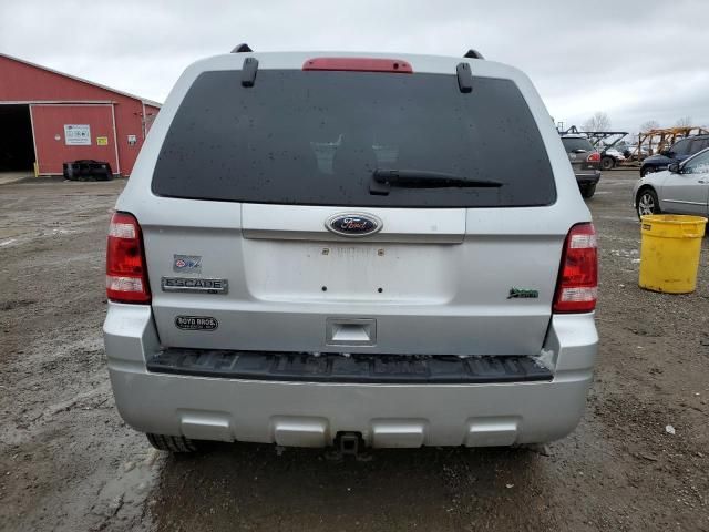 2010 Ford Escape XLT