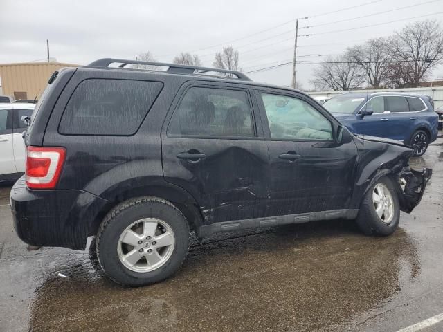 2011 Ford Escape XLT