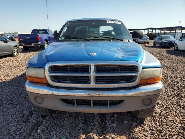 2000 Dodge Dakota