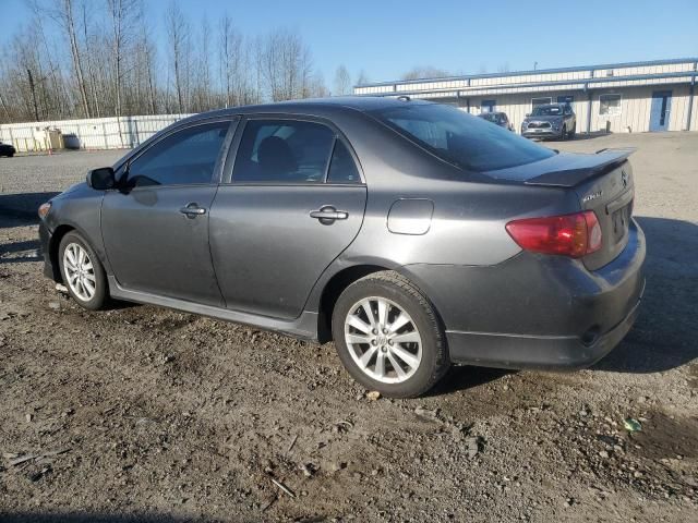 2010 Toyota Corolla Base