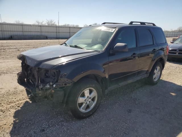 2011 Ford Escape XLT