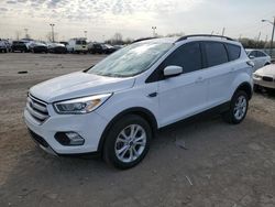 Salvage cars for sale at Indianapolis, IN auction: 2018 Ford Escape SEL