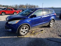 Salvage cars for sale from Copart Lawrenceburg, KY: 2015 Ford Escape SE