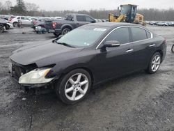 Salvage cars for sale from Copart Grantville, PA: 2010 Nissan Maxima S