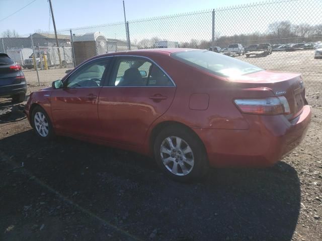 2009 Toyota Camry Hybrid