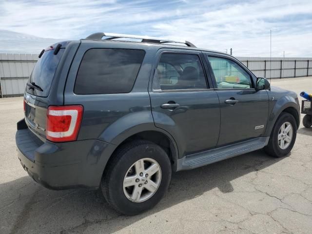 2008 Ford Escape HEV