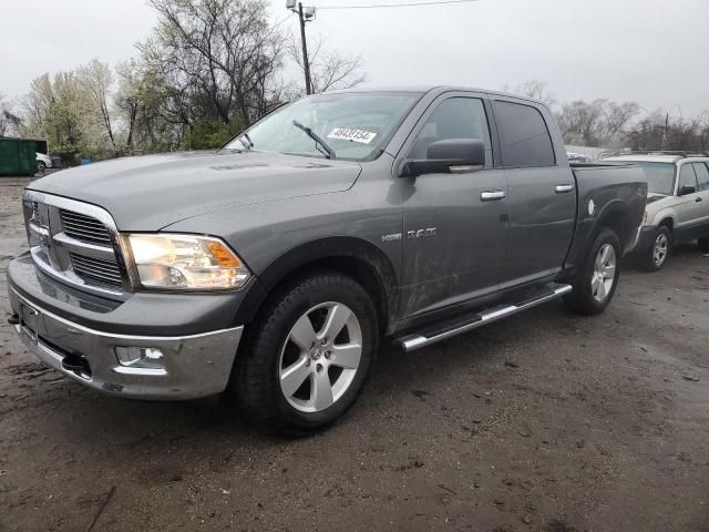 2010 Dodge RAM 1500