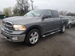 Salvage SUVs for sale at auction: 2010 Dodge RAM 1500