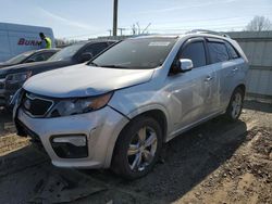 KIA Sorento sx salvage cars for sale: 2013 KIA Sorento SX