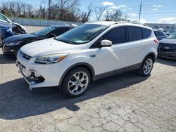 Salvage SUVs for sale at auction: 2013 Ford Escape Titanium