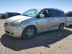 Salvage cars for sale at Albuquerque, NM auction: 2007 Honda Odyssey EXL