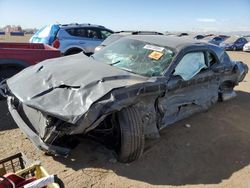 Salvage cars for sale at Brighton, CO auction: 2019 Dodge Challenger SXT
