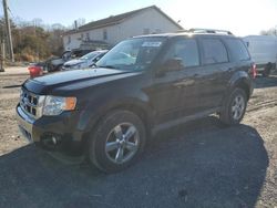 Ford salvage cars for sale: 2012 Ford Escape Limited